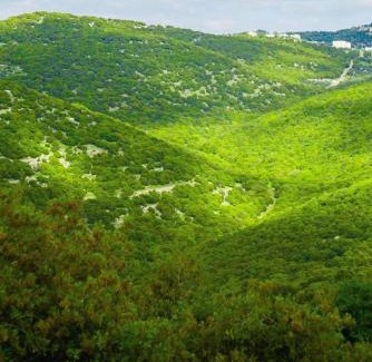Ajloun Cabin | أكواخ الهدهد