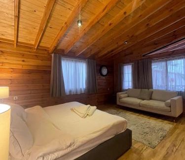 Jizan Ski Chalet | شاليهات دبليو فرع العدايا