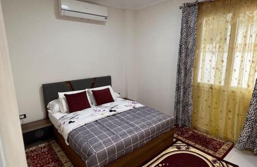 Tenth of Ramadan City Apartment | شقه عصريه