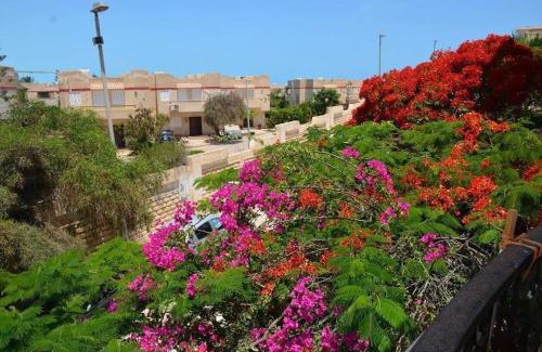 Marina El Alamein Apartment | قريه اللوتس الساحل الشمالى