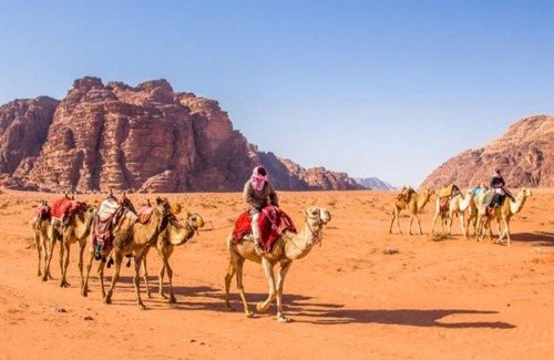 Wadi Rum Bed & Breakfast | وادي رم