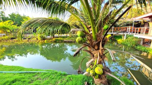 Damnoen Saduak House | ดำเนินโฮมสเตย์ Damnoen Homestay