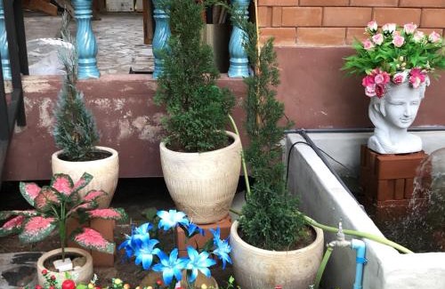 Samut Sakhon House | บ้านมาดาม เขาใหญ่