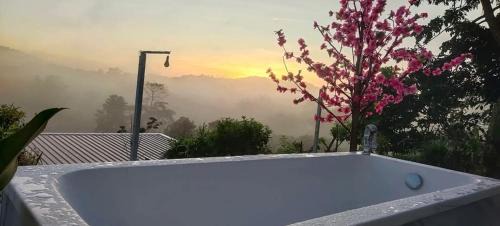Khao Kho House | พูลวิลล่าminiบ้านสวนเกดกนกเขาค้อ