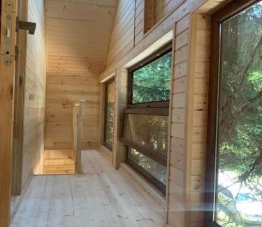 Zestafoni Resort | მარტო ტყეში-alone in the forest