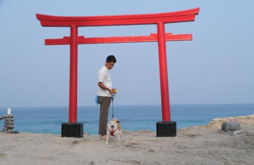 Shirahama Villa | イヌサウナリゾート伊豆白浜 愛犬と整うアウトドアラグジュアリーヴィラ