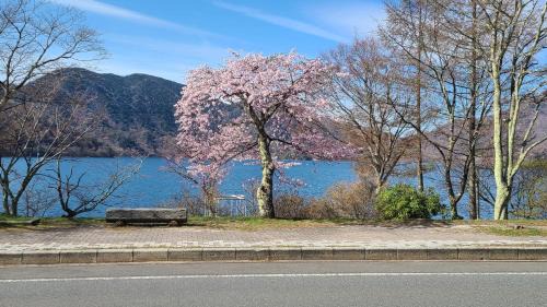 Nikko Hotel | プチホテル MASUYA