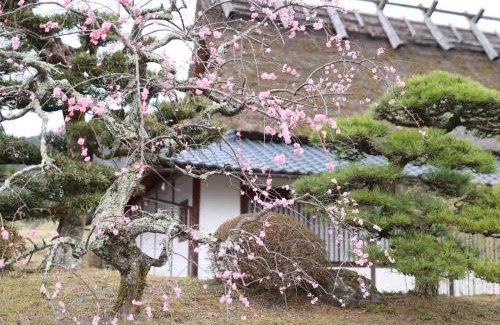 Nantan Hotel | 料理旅館 山里料理 いそべ -Ryokan Isobe-