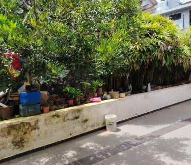 Gua Apartment | 明国民宿