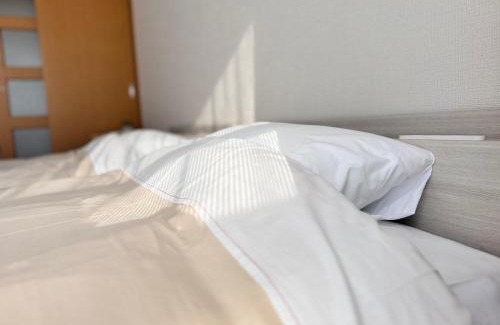 Kita Ward Apartment | 東横のヨコ301