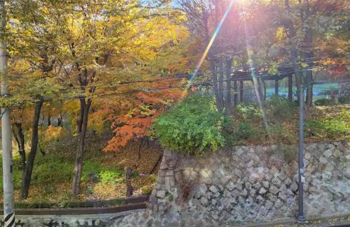 Seogang-dong Apartment | 공원, Hongdae park forest