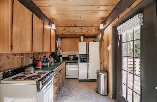 Maple Falls Apartment | 05MBH - Economical - WiFi - Pets Ok - F/P - D/W - Sleeps 2 by RedAwning
