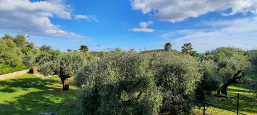 Tourrettes-sur-Loup House | 06CB Pretty country house for 8