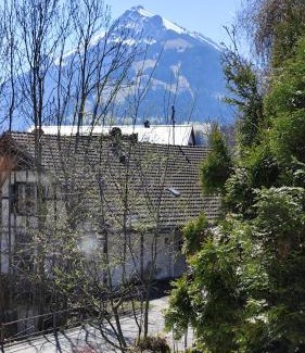 Frutigen Apartment | 1,5 Zimmer Ferienwohnung Lindenmatte Frutigen Berner Oberland