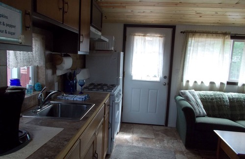 Drake Cottage | 1 bed Cabin on the Big Thompson River 5 min to Estespark with hot tub and grill
