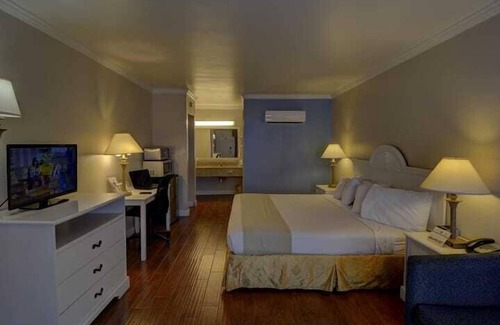 Vero Beach Apartment | 1 Bedroom 803292 by Houzlet