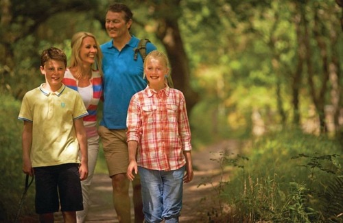 Callander Cabin | 1 bedroom accommodation in Callander, Stirlingshire