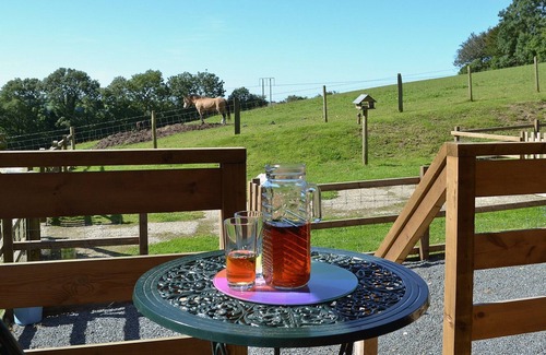 Mydroilin Cottage | 1 bedroom accommodation in Mydroilyn, near Newquay and Aberaeron