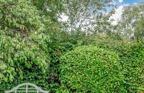 Stoke Holy Cross Cabin | 1 bedroom accommodation in Dunston, near Norwich