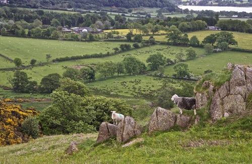 Penrith Cottage | 1 bedroom accommodation in Watermillock, near Ullswater