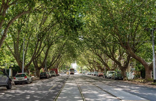 St Kilda West Apartment | 1 Bedroom Art Deco Apartment, Stroll to Beach