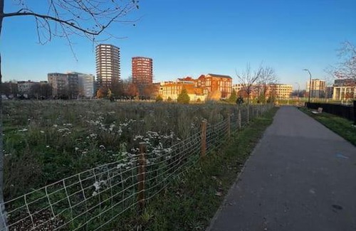 Hoxton Apartment | 1 bedroom flat 10 mins walk from Old Street station