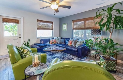 Dunedin Apartment | 1 Bedroom Multi family 224430 by Houzlet
