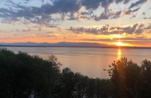 North Beach/Blue Ridge Apartment | 1-Bedroom Seaview Guesthouse on Seattle Luxury Estate with Views of Olympic Mountains