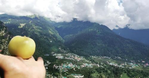 Manali Apartment | 1 BHK INDEPENDENT MUD HOUSE WITH NETFLIX, POWER BACKUP, WIFi ,BALCONY, KITCHEN