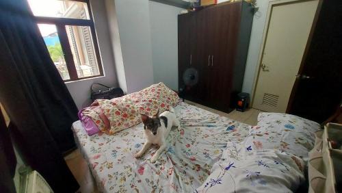Pasay Apartment | 1 Br Near Naia T3/Resorts World