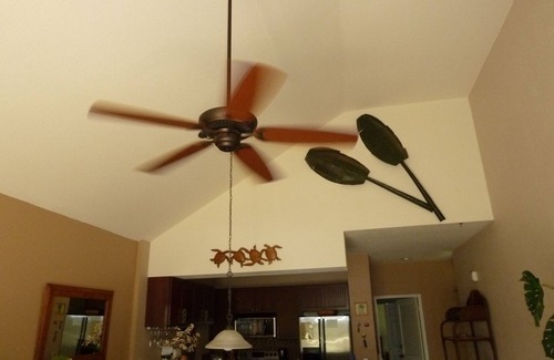 Wailea Condo | 1 BR Treetop Wailea , 2nd floor vaulted ceilings