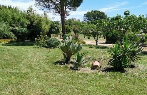 Siniscola House | 1 House