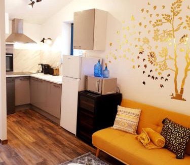 Saint-Affrique Apartment | 1 Liberte - TRIPLEX