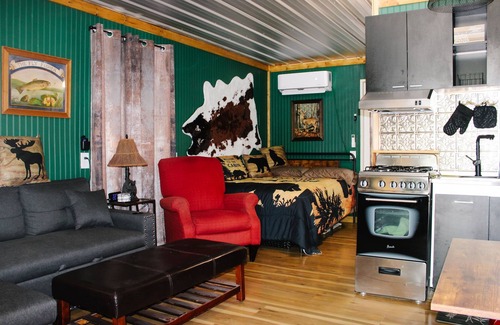 Neal Cabin | #1 ~ Modern Hunting One Room Cabin ~ Wheelchair Accessible Cabin