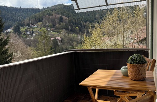 Bad Wildbad Apartment | 1-room apartment | near thermal baths & suspension bridge