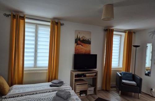 Niederbronn-les-Bains Apartment | 1 rue des romains studio meublé clauss