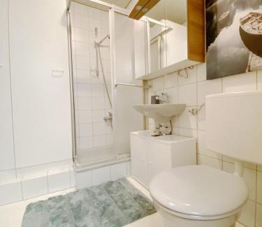 Mittelberg Apartment | 1-Zi-Ferienwohnung Säulingsblick
