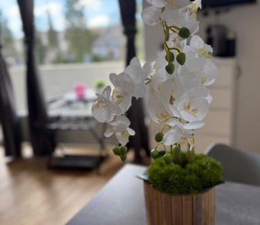 Bad Rothenfelde Apartment | 1 Zimmer Apartment in Bad Rothenfelde