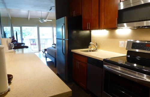 Kihei Condo | 10% 7 Day Discount! Kihei Studio - Split AC, Clean, Free WiFi, Turtles!