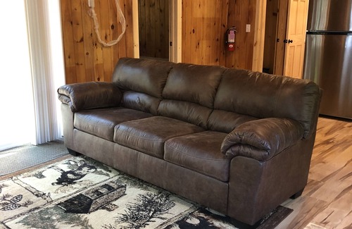 Laurens Cabin | 10 MINS to ASV, 20-25 MINS to CDP. Newly Renovated 2021/borders State Park