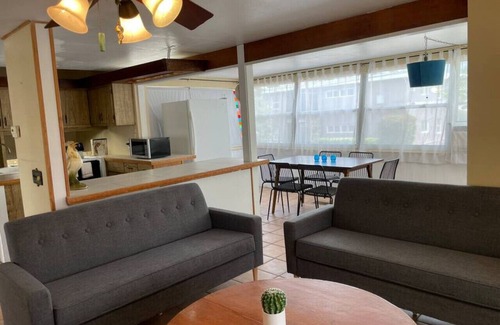 Dunedin Apartment | 10 · Sea Side Artisan Apartment 10