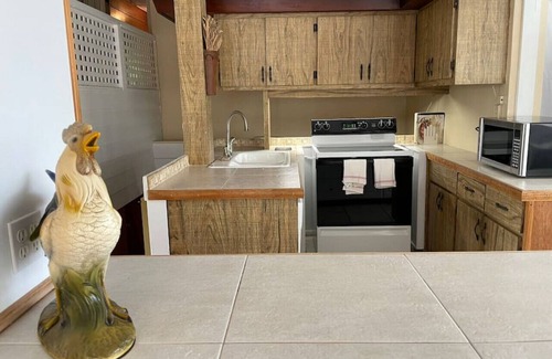 Dunedin Apartment | 10 · Sea Side Artisan Apartment 10