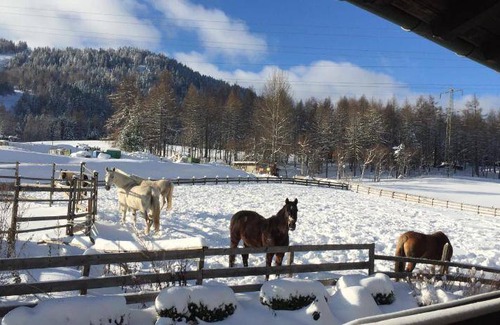 Reith bei Seefeld Apartment | 100 m² Apartment ∙ 2 bedrooms ∙ 6 guests