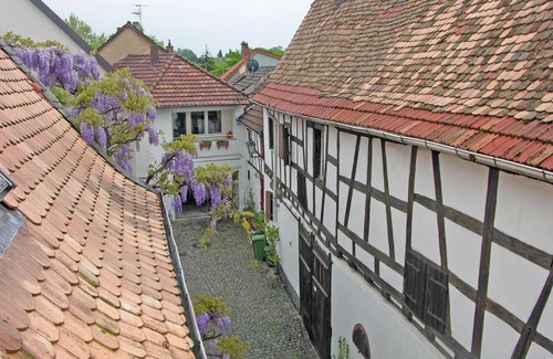 Freinsheim House | 100 m² House ∙ 1 bedroom ∙ 3 guests