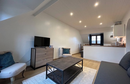 Noyers-sur-Cher Apartment | 10min from Beauval-Apartment "Les Silex" with games room, optional jacuzzi
