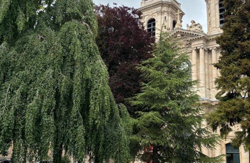 Langres Apartment | 110 m² Apartment ∙ 3 bedrooms ∙ 6 guests