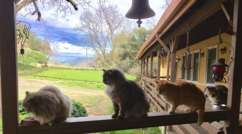 St. Helena Bed & Breakfast | 111 m² Bed and breakfast ∙ 2 bedrooms ∙ 4 guests