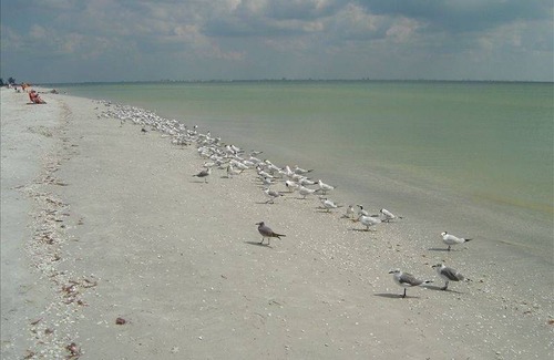 Sanibel House | 112 m² House ∙ 2 bedrooms ∙ 4 guests