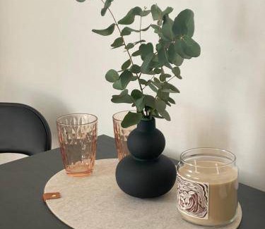 Piestany Apartment | 12 m² Apartment ∙ 2 guests