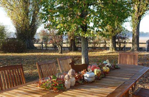 Tour-en-Sologne House | 120 m² House ∙ 4 bedrooms ∙ 8 guests